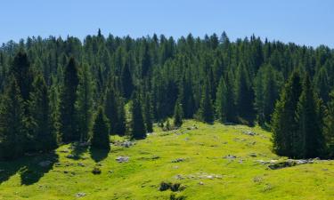 Holiday Rentals in Bièvre