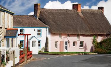 Hoteles que admiten mascotas en Helston