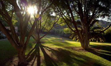 Hoteles en Xochitepec