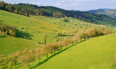 Hoteles en Adenau