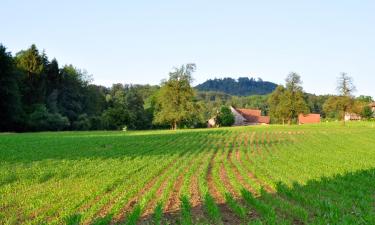 Appartementen in Forch