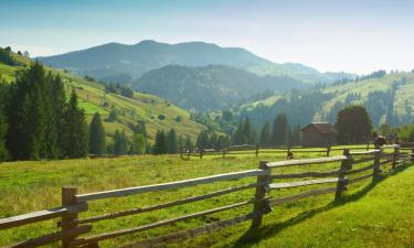 Hotels in Verkhovyna