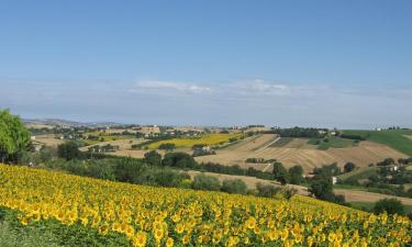 Alquileres temporarios en Appignano