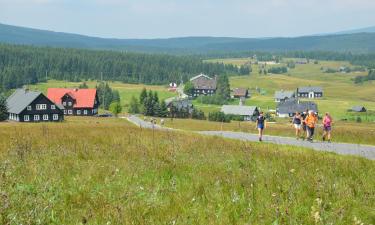 Family Hotels in Příchovice