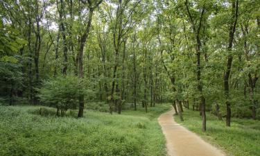 Günstiger Urlaub in Fullerton