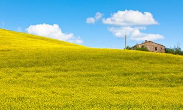 Farm Stays in Incisa in Valdarno