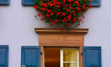 Apartments in Hugstetten