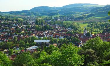 Hotéis com estacionamento em Reichelsheim