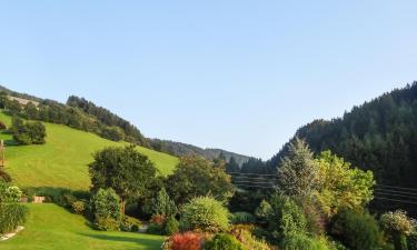 Dovolenkové prenájmy v destinácii Weißkirchen in Steiermark