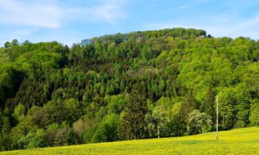 Holiday Rentals in Artstetten