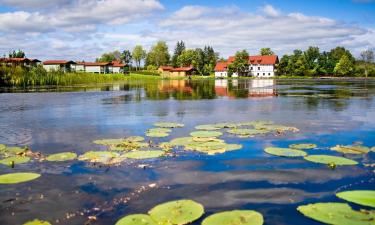 Hoteles baratos en Saldus