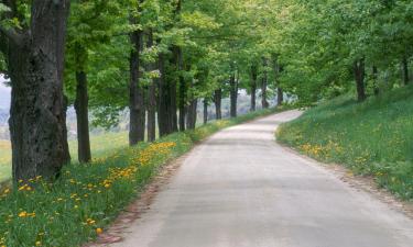 Hotele z parkingiem w mieście East Dorset