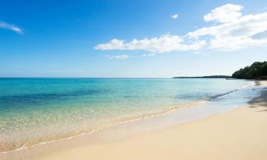 Sewaan Penginapan di Bluefields