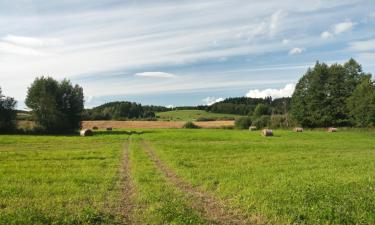 Vakantiewoningen aan het strand in Lipno