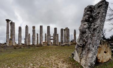 Viešbučiai mieste Tasucu