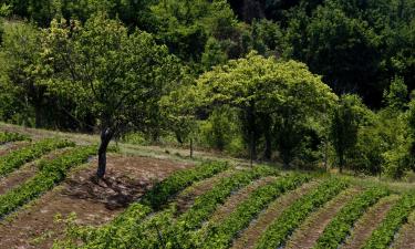 Alquileres vacacionales en Barat