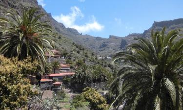 Apartments in Masca