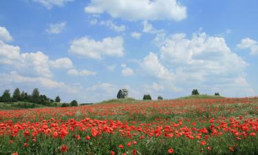 Alquileres vacacionales en Przejazdowo