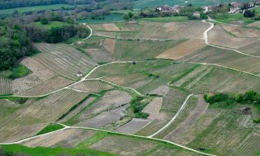 Hôtels avec parking à Château-Chalon