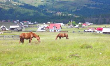 Ferieboliger i Smida