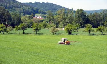 Boenden vid stranden i Finkenbach