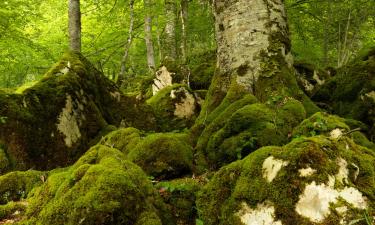 Hôtels pour les familles à Akerreta