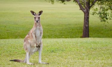 Hotels with Parking in Loganholme