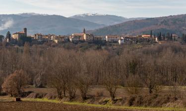 Vakantiewoningen in Borgo alla Collina
