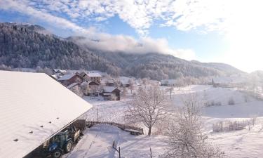 Familjehotell i Štefanja Gora