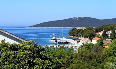 Holiday Rentals in Molat