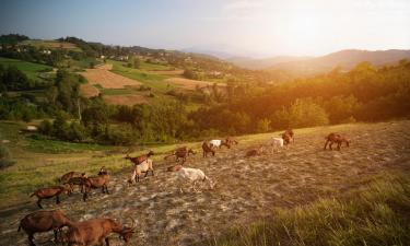 Parkimisega hotellid sihtkohas San Benigno Canavese