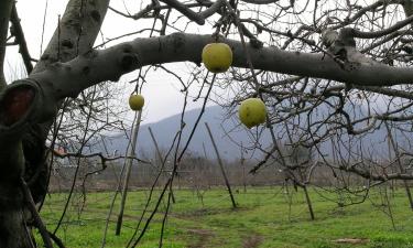 Отели с парковкой в городе Agios Pavlos