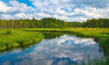 Parkolóval rendelkező hotelek Hołny Mejerában