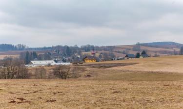 Горнолыжные отели в городе Horní Branná