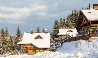 Hoteluri cu parcare în Volosyanka