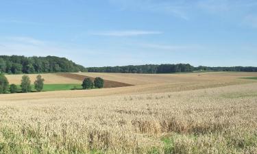 Hoteli u gradu 'Oberderdingen'