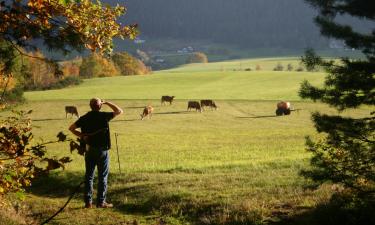 Parkolóval rendelkező hotelek Wernberg-Köblitzben