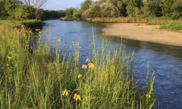 Hotels with Parking in Savanna