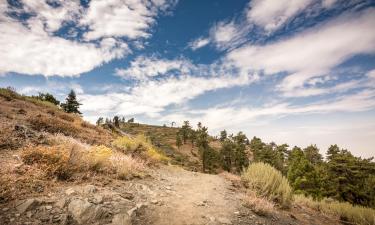 Hotel dengan parkir di Wrightwood