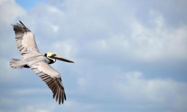 Resorts in New Smyrna Beach