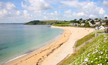 Pet-Friendly Hotels in Falmouth
