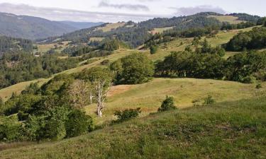 Hotel dengan parkir di Clunes