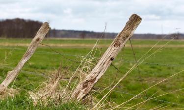 Parkolóval rendelkező hotelek Eicklingenben