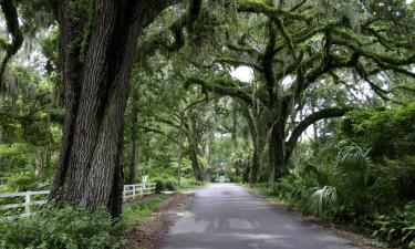 Ваканционни къщи в Micanopy