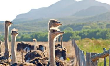 Hotel di Oudtshoorn