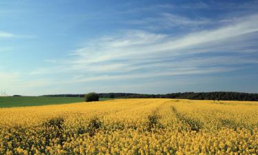 Holiday Rentals in Bräunlingen