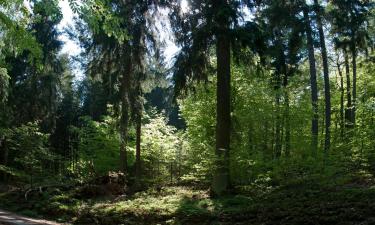 Buchen şehrindeki otoparklar