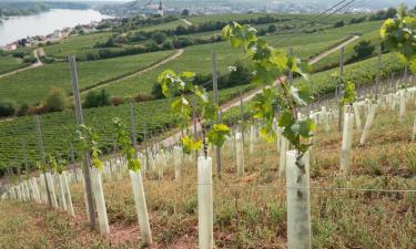 Hoteles con parking en Budenheim