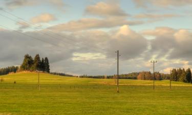 Holiday Homes in Garrel