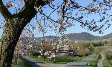 Hoteles con estacionamiento en Ilbesheim